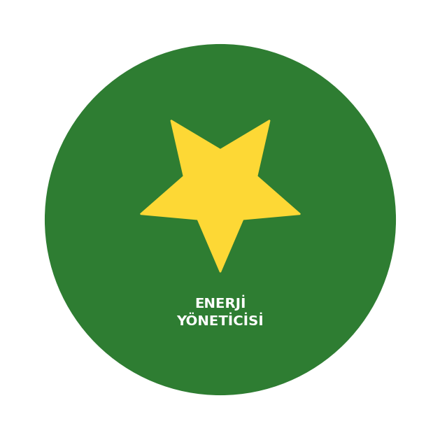 Enerji Yöneticisi Sertifikası